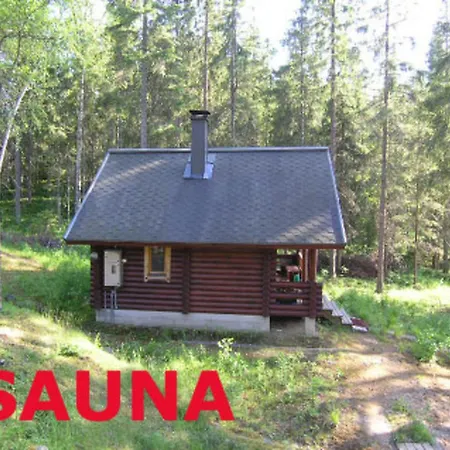 Pynnolanniemi By Interhome Tatil Evi Konnevesi